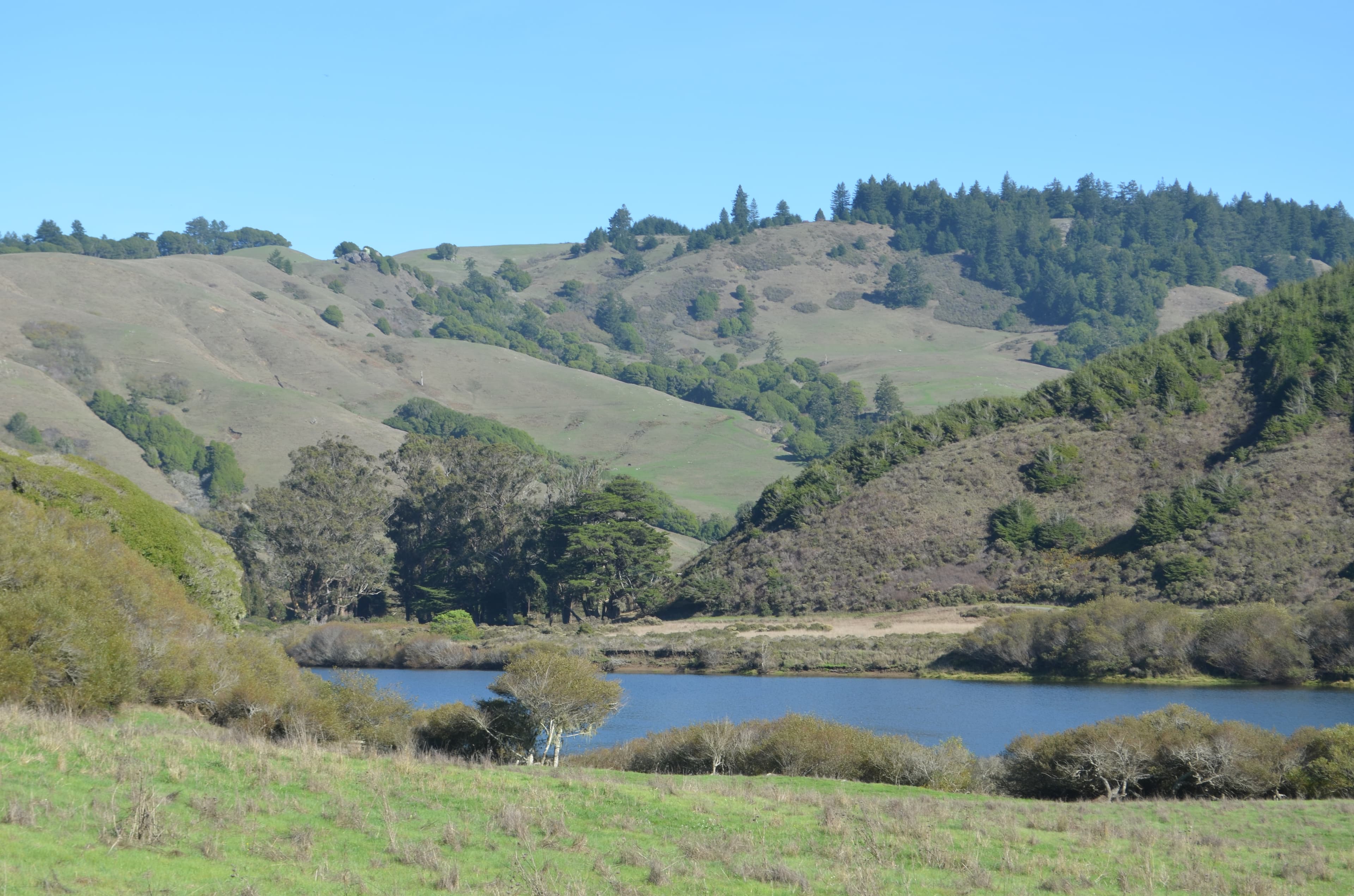 Reference Photo I Took